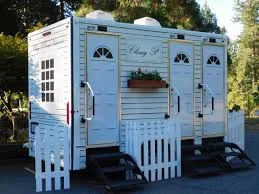 Festival Sanitation Package in Celina, Tx
